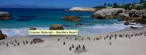 Cape Town Pinguins