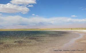 Laguna Cejar Atacama