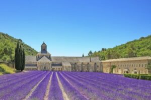 Provence – Parte1