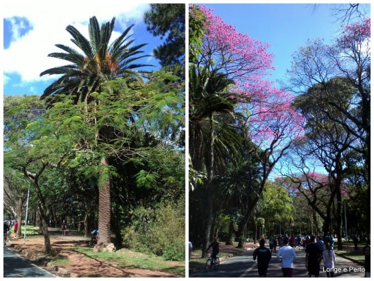 parque ibirapuera